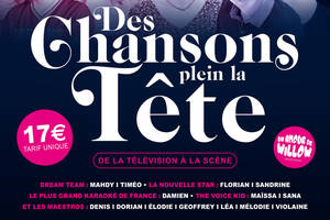 photo DES CHANSONS PLEIN LA TETE