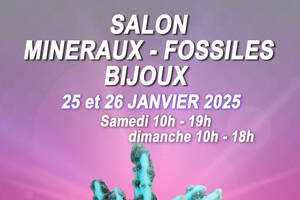 Salon minéraux, fossiles, bijoux de créateur.