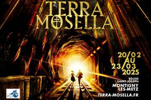 Terra Mosella, le nouveau spectacle immersif son et lumière de Damien Fontaine