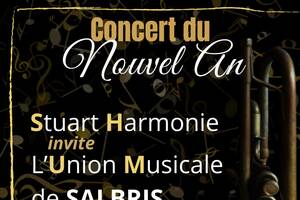 Concert du nouvel an