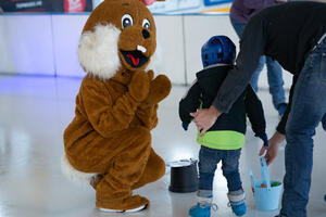 Chasse aux œufs sur glace