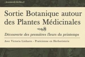 photo Sortie botanique autour des Plantes Médicinales