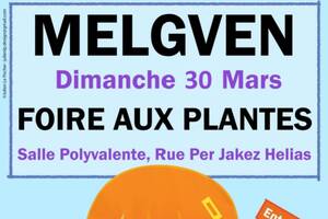 Foire aux plantes