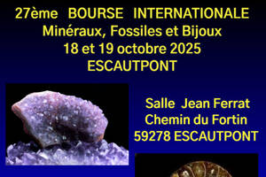 photo 27ème bourse internationale de minéraux et fossiles d'Escautpont