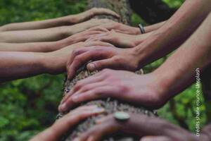 photo A la rencontre des arbres, à la rencontre de soi - Atelier Immersion Nature Adultes