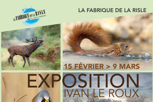 Exposition 