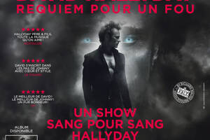 David Hallyday, Requiem pour un fou