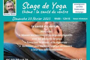 Stage de yoga : la santé du ventre