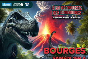 À la découverte des dinosaures