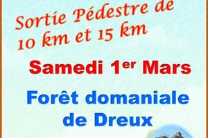 photo Sortie pédestre en forêt domaniale de Dreux de 10 km et de 15 km