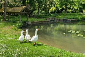 Aquarelle au jardin, peinture plein air au Moulin de Malicorne