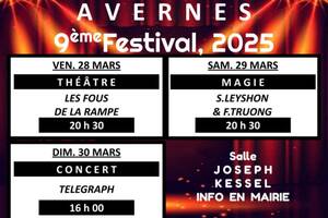 photo 9eme Festival d'AVERNES