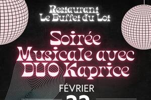 Soirée musicale variété française