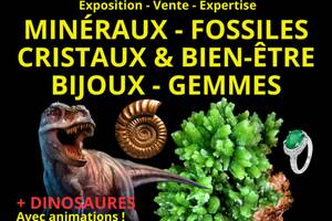 photo 4ème Salon Minéraux Fossiles + Exposition de Dinosaures à Aubagne