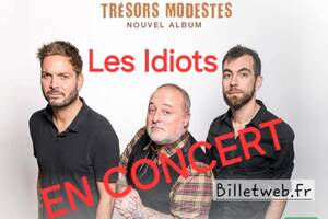 Les Idiots en concert à Puygouzon