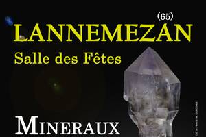 2e SALON MINERAUX FOSSILES BIJOUX