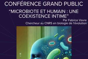 photo Conférence grand public : Microbiote et humain : une coexistence intime