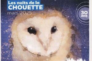 photo Les Nuits de la Chouette  -  Gratuit