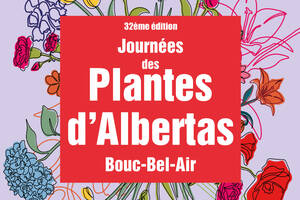 photo Du 23 au 25 mai 2025 l’Art du jardin se célèbre aux Journées des Plantes d’Albertas