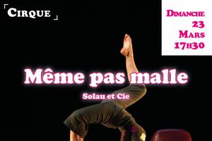 Spectacle de cirque le dimanche 23 Mars 2025 programmation culturelle de la CCEALS