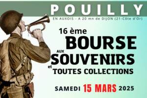 photo Bourse aux Souvenirs et Toutes Collections POUILLY EN AUXOIS