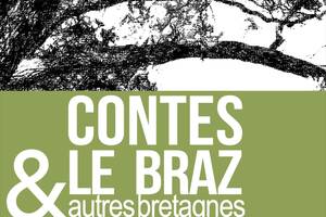 Contes Le Braz et autres bretagnes - Achille Grimaud