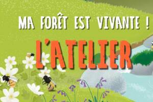 Atelier Ma Foret Est Vivante