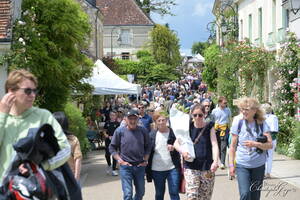 photo Festival des roses de Chédigny