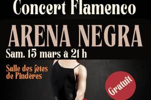 Concert Arena Negra