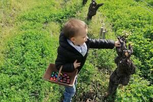 photo Pâques en vignes au Château haut-Claverie