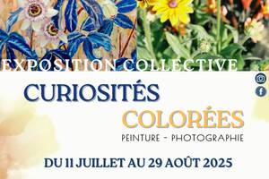 photo Curiosités colorées, exposition collective