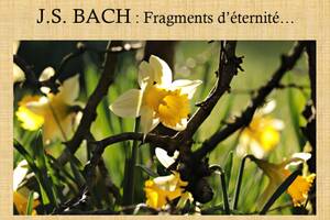 photo J.S. BACH : Fragments d’éternité…