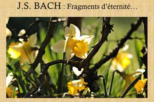 J.S. BACH : Fragments d’éternité…