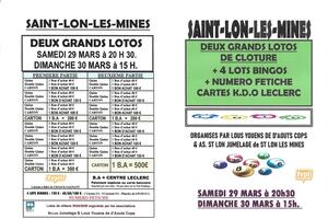 photo DEUX GRANDS LOTOS BINGOS AVEC FETICHE DE CLOTURE