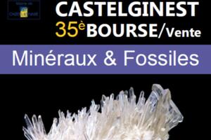 35ème Bourse vente minéraux fossiles pierres naturelles à CASTELGINEST 5 et 6 Avril 2025