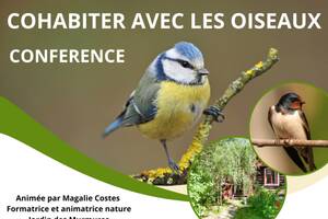 photo conférence Cohabiter avec les oiseaux