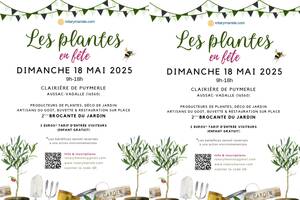 photo Les plantes en fête