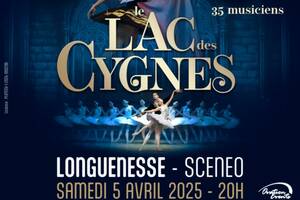 LE LAC DES CYGNES