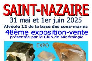 48 ème exposition-vente minéraux-fossiles-gemmes