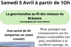 Ballade conférence sur les coteaux du Brézeme à Livron