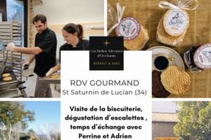 RDV Gourmand - Les Escalettes de Montpellier à St Saturnin de Lucian