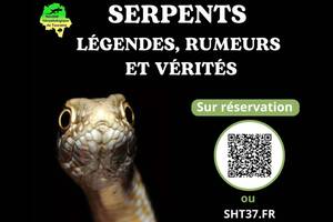 Serpents : Légendes, rumeurs et vérités