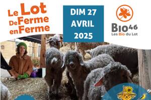 LE LOT DE FERME EN FERME : Amandine REY