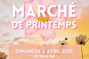 Marché de printemps de Plesidy