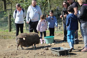 Visite ferme pédagogique et atelier nourrissage des animaux