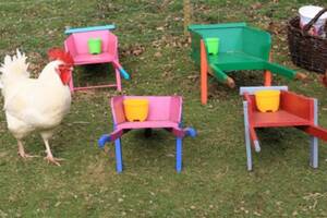 photo Le potager enchanté des animaux - 4 ans à 10 ans