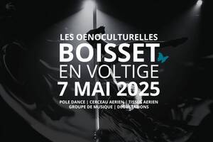 Boisset en Voltige