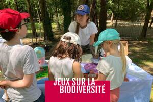 Jeux sur la biodiversité