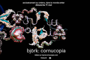 photo Björk : Cornucopia