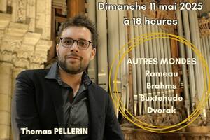 Concert d'orgue en la Basilique Saint Remi - Autres Mondes